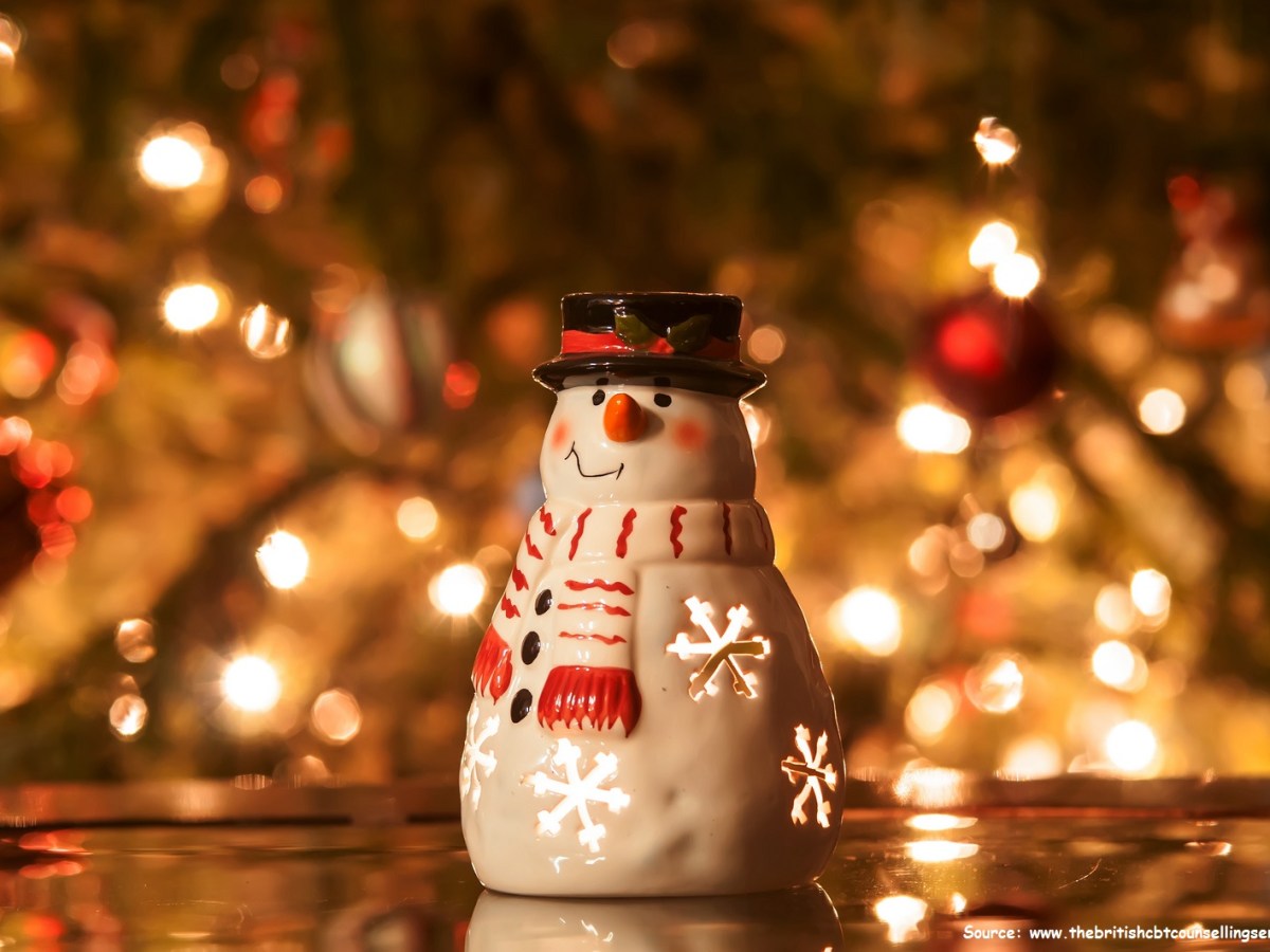 A Pandemic Christmas