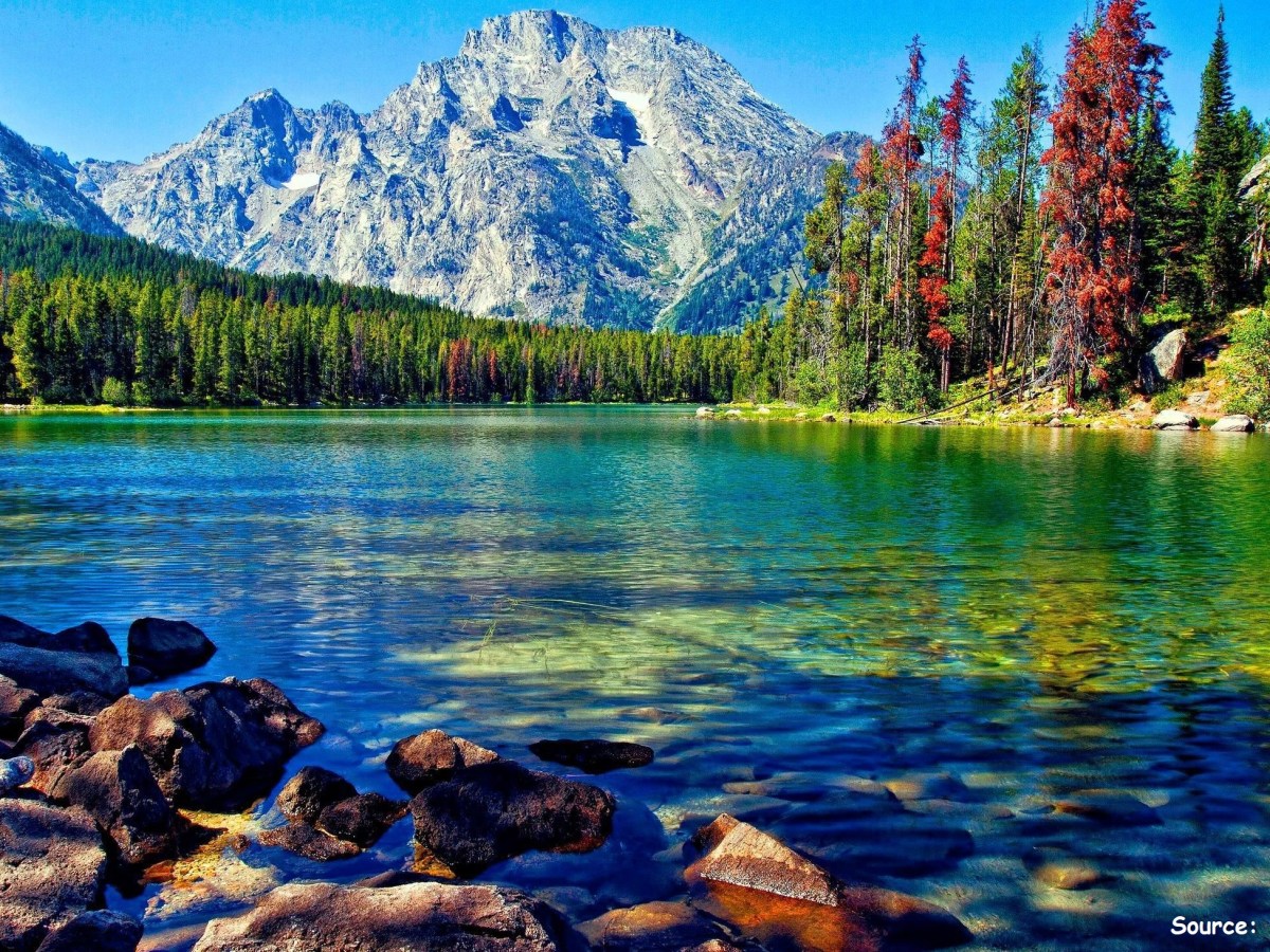 Surprise – Part&nbsp;Two