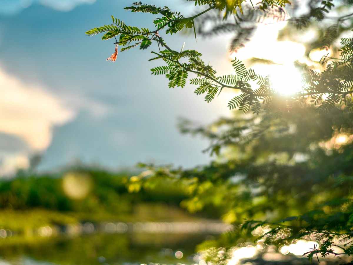 One Of Those&nbsp;Days