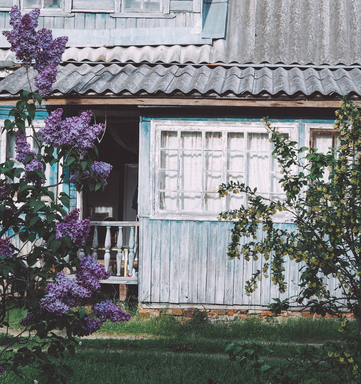 wood building garden house