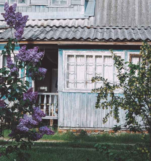 wood building garden house