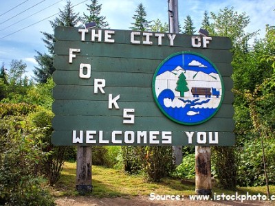 An Interview With The&nbsp;Cullens