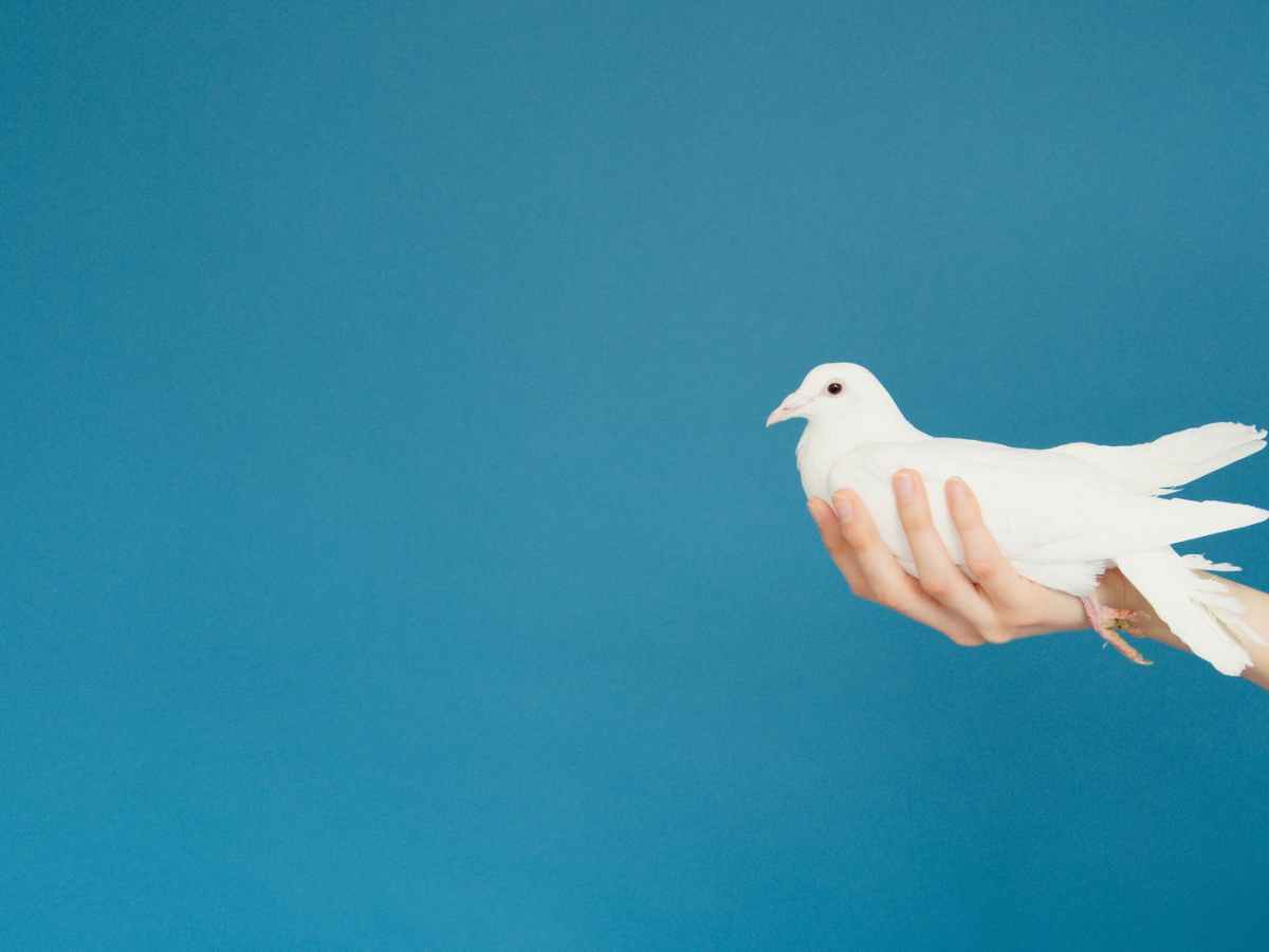 The Truth – Does It Really Set You&nbsp;Free?