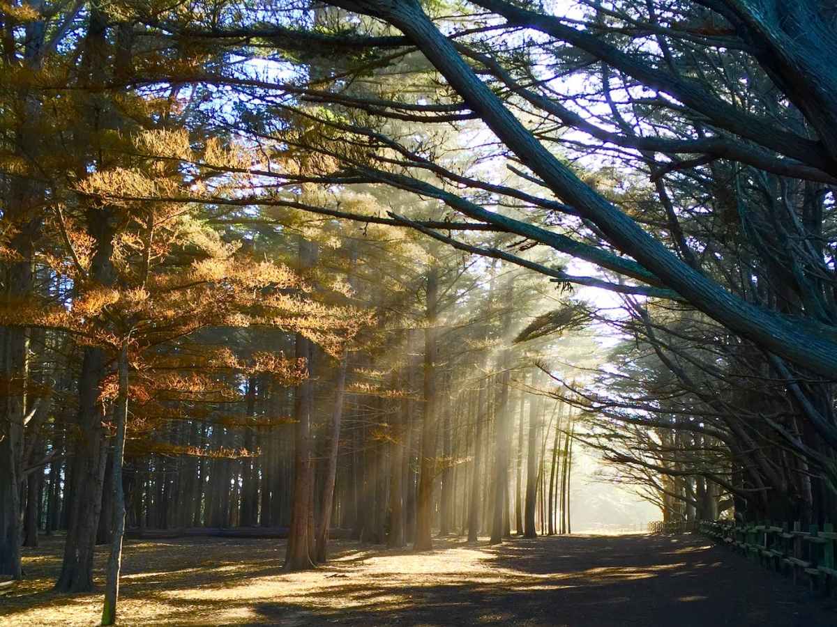 Getting Off The&nbsp;Battlefield