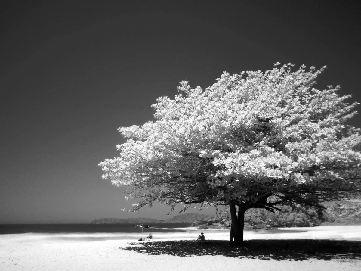 It Is What It&nbsp;Is